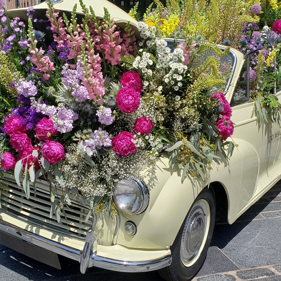 Meet the Closet/Posher - Picture 3 of 4